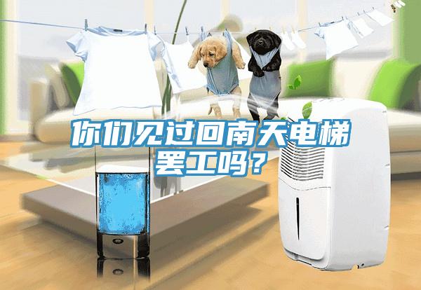 你們見過回南天電梯罷工嗎？