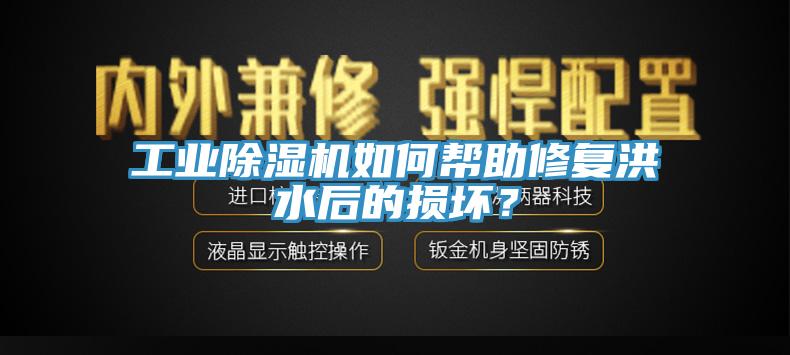 工業(yè)除濕機如何幫助修復洪水后的損壞？