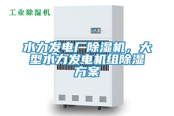 水力發(fā)電廠除濕機(jī)，大型水力發(fā)電機(jī)組除濕方案