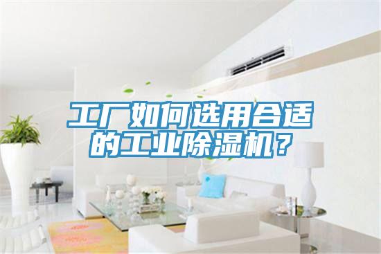 工廠如何選用合適的工業(yè)除濕機(jī)？