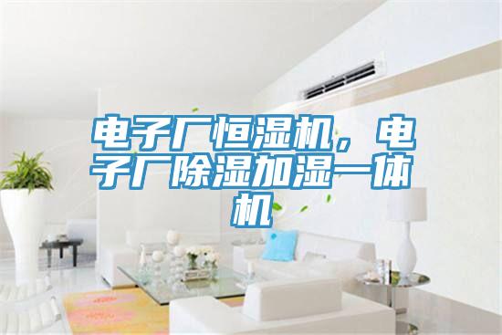 電子廠恒濕機，電子廠除濕加濕一體機