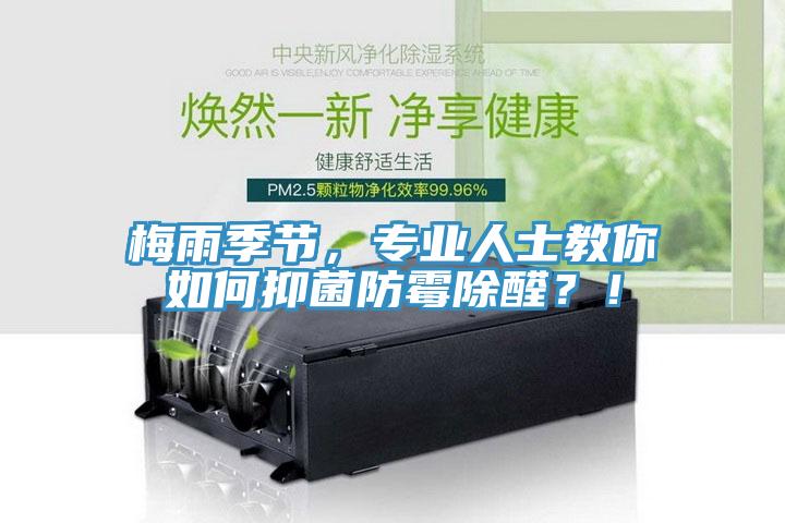 梅雨季節(jié)，專業(yè)人士教你如何抑菌防霉除醛？！