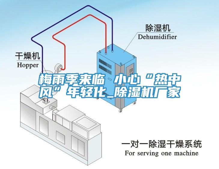 梅雨季來臨 小心“熱中風(fēng)”年輕化_除濕機廠家