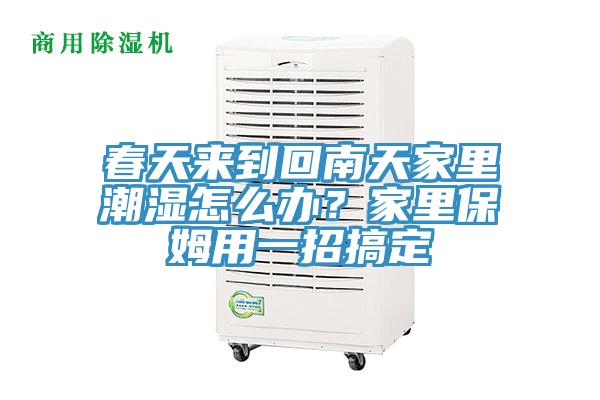 春天來到回南天家里潮濕怎么辦？家里保姆用一招搞定