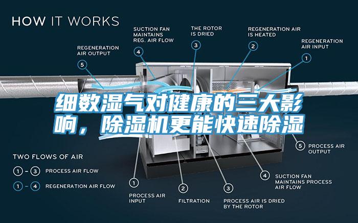 細(xì)數(shù)濕氣對健康的三大影響，除濕機(jī)更能快速除濕