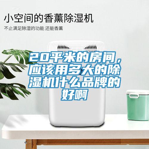 20平米的房間，應(yīng)該用多大的除濕機(jī)什么品牌的好啊