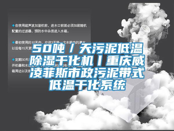 50噸／天污泥低溫除濕干化機丨重慶威凌菲斯市政污泥帶式低溫干化系統(tǒng)