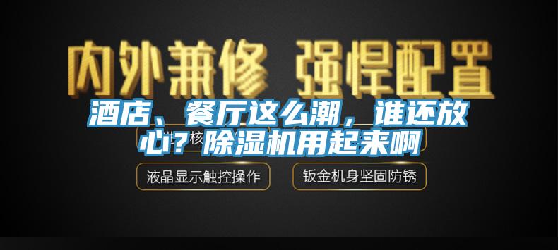 酒店、餐廳這么潮，誰還放心？除濕機用起來啊