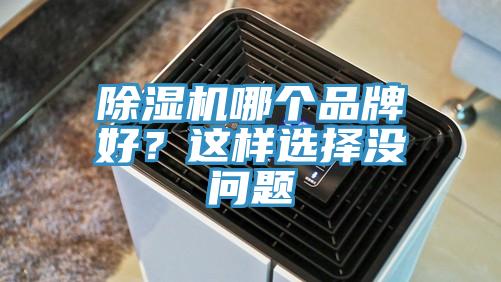 除濕機哪個品牌好？這樣選擇沒問題