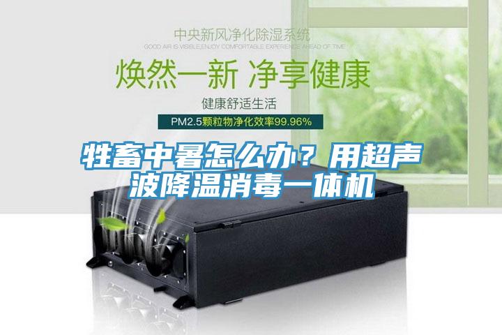 牲畜中暑怎么辦？用超聲波降溫消毒一體機(jī)