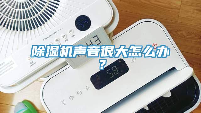 除濕機聲音很大怎么辦？