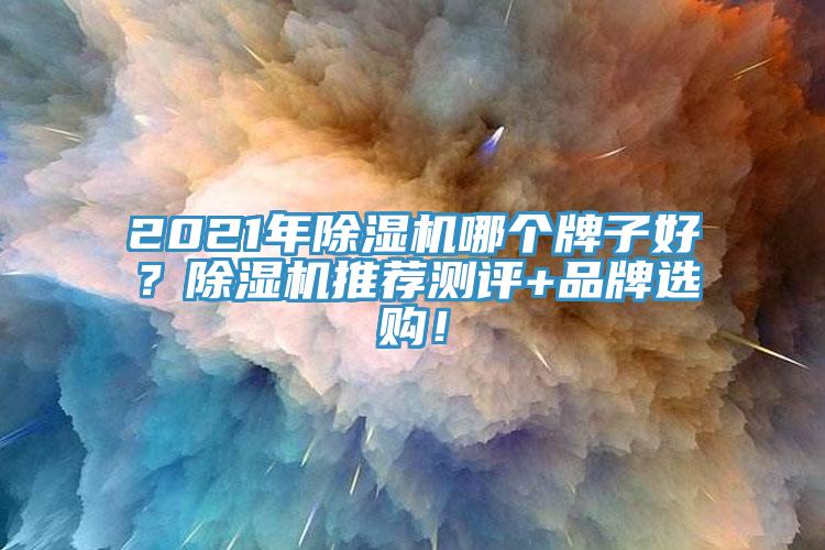 2021年除濕機(jī)哪個(gè)牌子好？除濕機(jī)推薦測(cè)評(píng)+品牌選購(gòu)！