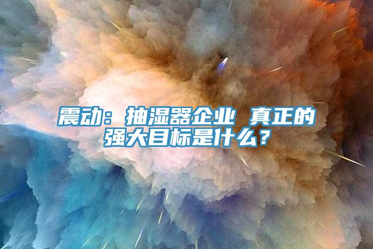 震動：抽濕器企業(yè) 真正的強(qiáng)大目標(biāo)是什么？