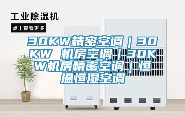 30KW精密空調(diào)｜30KW 機房空調(diào)｜30KW機房精密空調(diào)｜恒溫恒濕空調(diào)