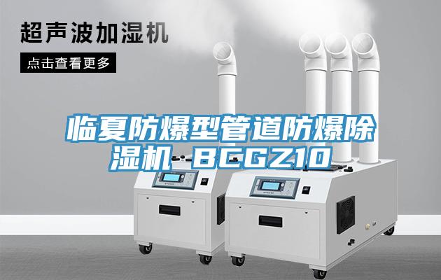 臨夏防爆型管道防爆除濕機 BCGZ10