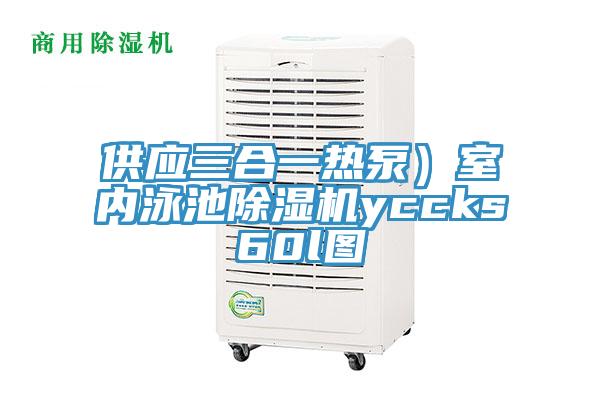 供應(yīng)三合一熱泵）室內(nèi)泳池除濕機(jī)yccks60l圖