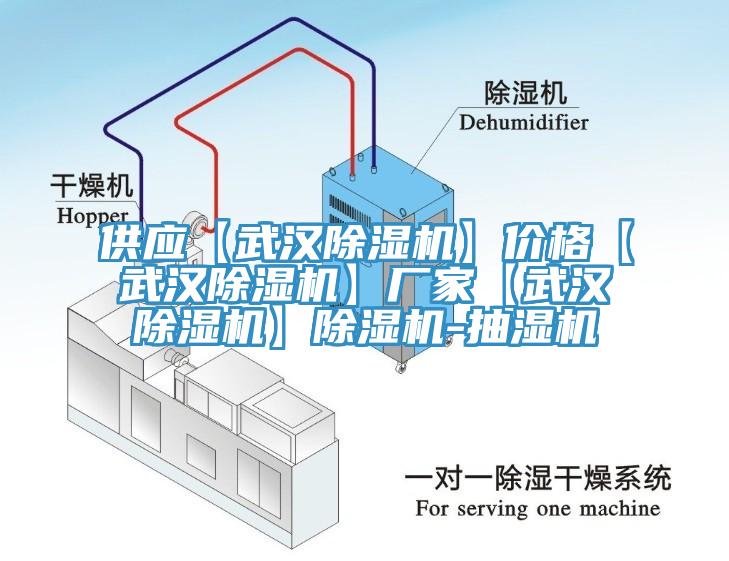 供應(yīng)【武漢除濕機(jī)】?jī)r(jià)格【武漢除濕機(jī)】廠家【武漢除濕機(jī)】除濕機(jī)-抽濕機(jī)