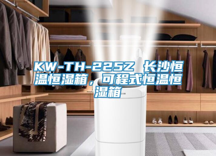 KW-TH-225Z 長(zhǎng)沙恒溫恒濕箱，可程式恒溫恒濕箱