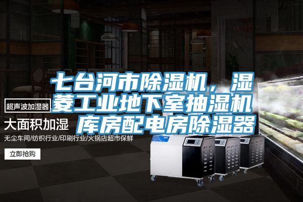 七臺河市除濕機，濕菱工業(yè)地下室抽濕機  庫房配電房除濕器