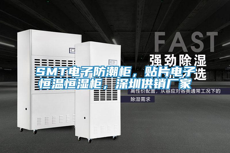 SMT電子防潮柜，貼片電子恒溫恒濕柜，深圳供銷廠家