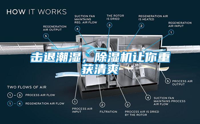 擊退潮濕，除濕機(jī)讓你重獲清爽