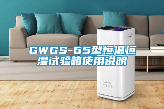 GWGS-65型恒溫恒濕試驗(yàn)箱使用說(shuō)明