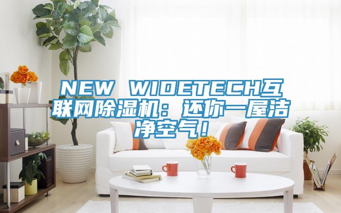 NEW WIDETECH互聯(lián)網(wǎng)除濕機(jī)：還你一屋潔凈空氣！