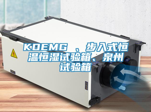 KOEMG 、步入式恒溫恒濕試驗箱、泉州試驗箱