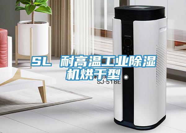 SL 耐高溫工業(yè)除濕機烘干型