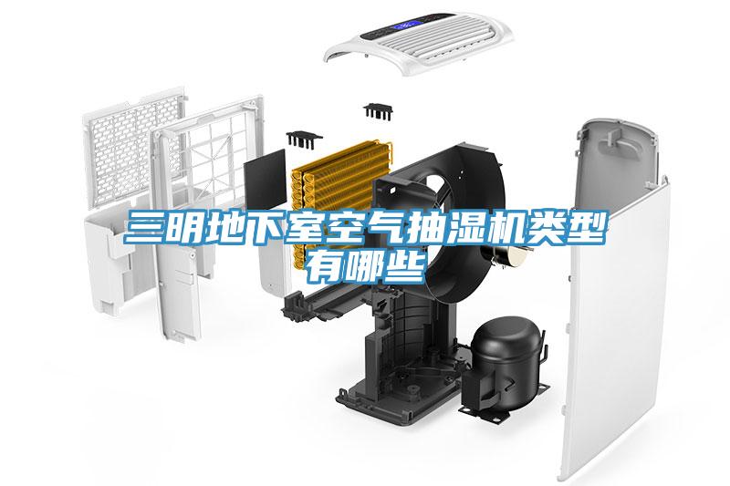 三明地下室空氣抽濕機(jī)類型有哪些