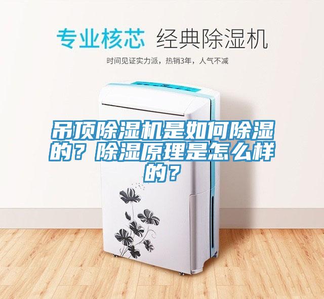 吊頂除濕機是如何除濕的？除濕原理是怎么樣的？