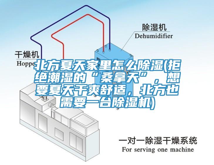 北方夏天家里怎么除濕(拒絕潮濕的“桑拿天”，想要夏天干爽舒適，北方也需要一臺除濕機(jī))