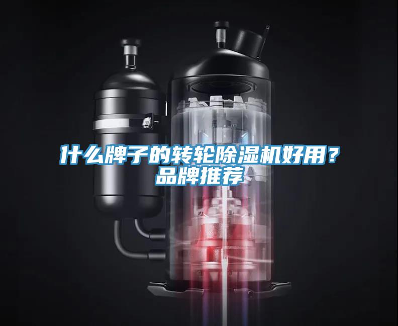 什么牌子的轉(zhuǎn)輪除濕機好用？品牌推薦