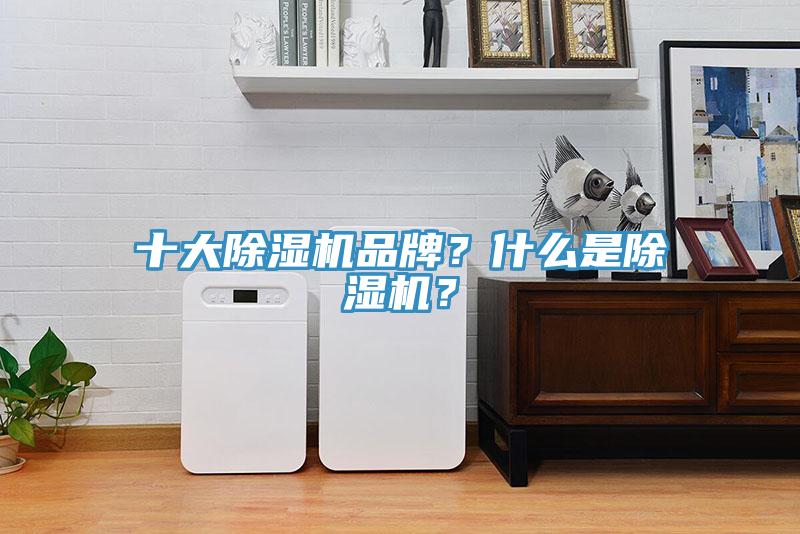 十大除濕機(jī)品牌？什么是除濕機(jī)？