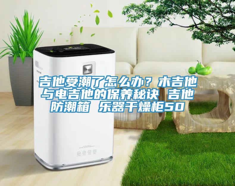 吉他受潮了怎么辦？木吉他與電吉他的保養(yǎng)秘訣 吉他防潮箱 樂器干燥柜50