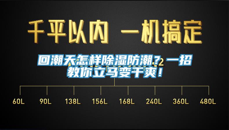 回潮天怎樣除濕防潮？一招教你立馬變干爽！