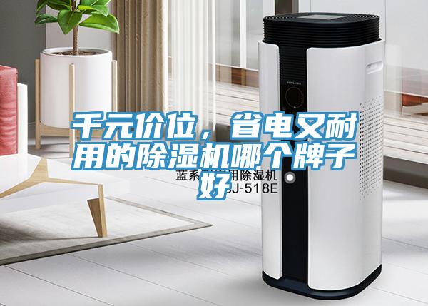 千元價位，省電又耐用的除濕機哪個牌子好