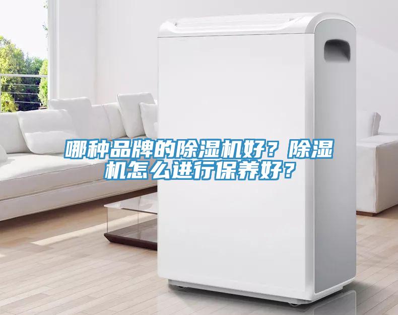 哪種品牌的除濕機好？除濕機怎么進行保養(yǎng)好？