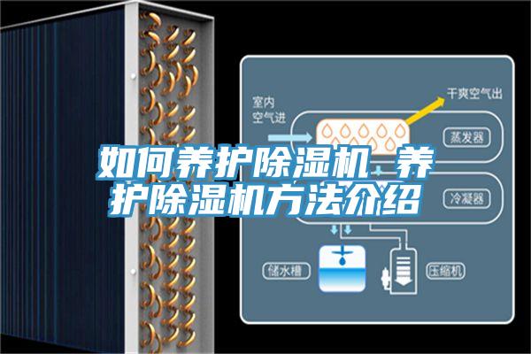 如何養(yǎng)護(hù)除濕機(jī) 養(yǎng)護(hù)除濕機(jī)方法介紹