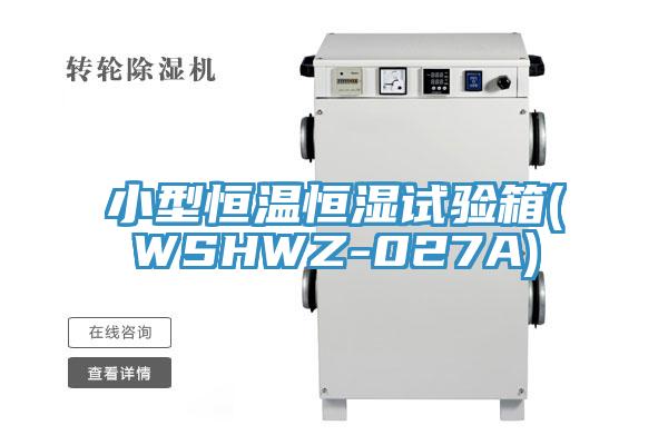 小型恒溫恒濕試驗(yàn)箱(WSHWZ-027A)