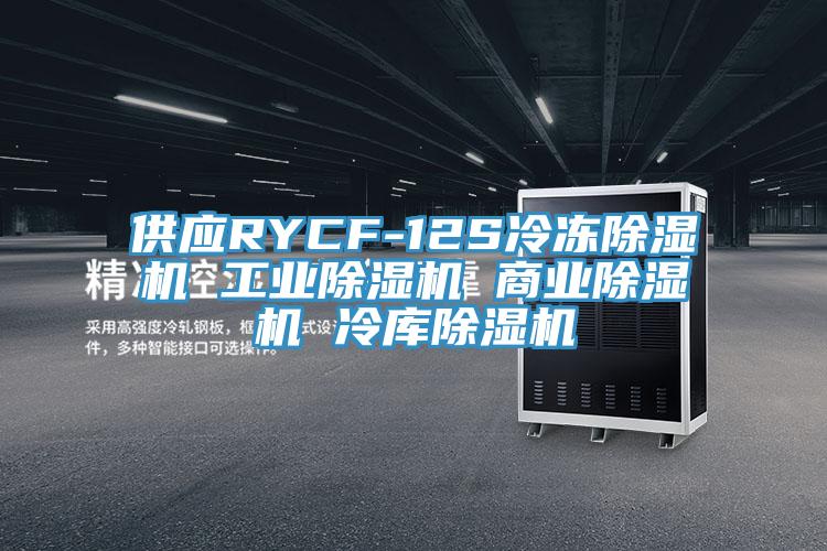 供應(yīng)RYCF-12S冷凍除濕機 工業(yè)除濕機 商業(yè)除濕機 冷庫除濕機