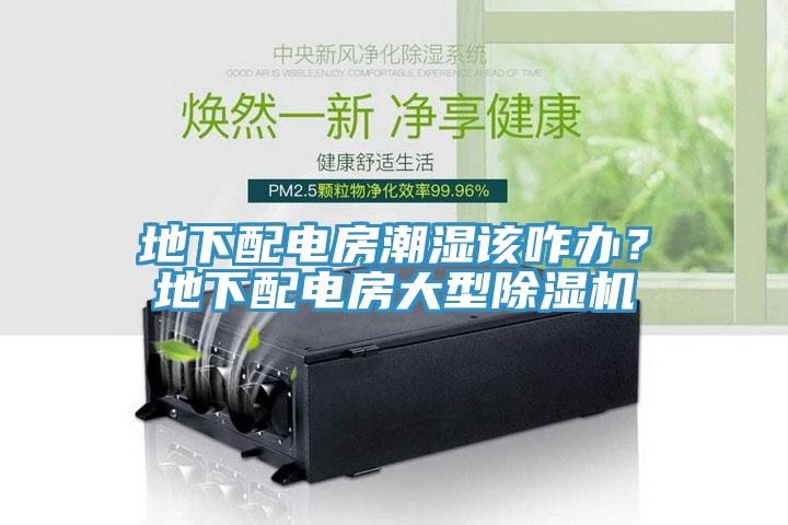 地下配電房潮濕該咋辦？地下配電房大型除濕機