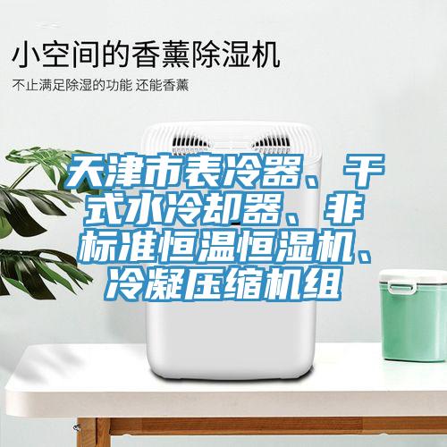 天津市表冷器、干式水冷卻器、非標(biāo)準(zhǔn)恒溫恒濕機、冷凝壓縮機組