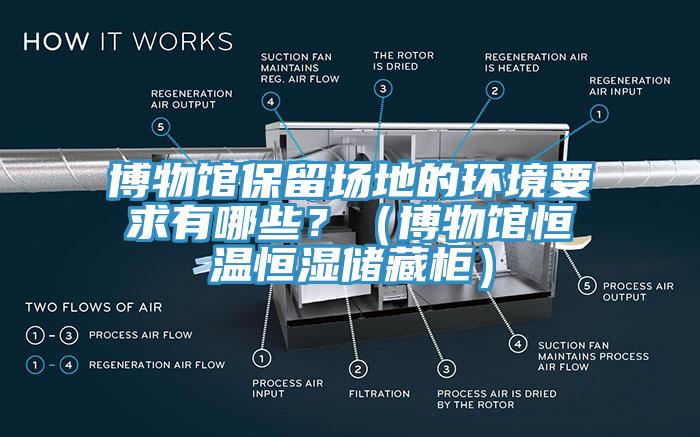 博物館保留場地的環(huán)境要求有哪些？（博物館恒溫恒濕儲藏柜）