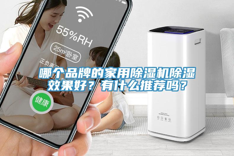 哪個品牌的家用除濕機除濕效果好？有什么推薦嗎？