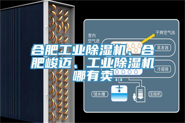 合肥工業(yè)除濕機、合肥峻邁、工業(yè)除濕機哪有賣