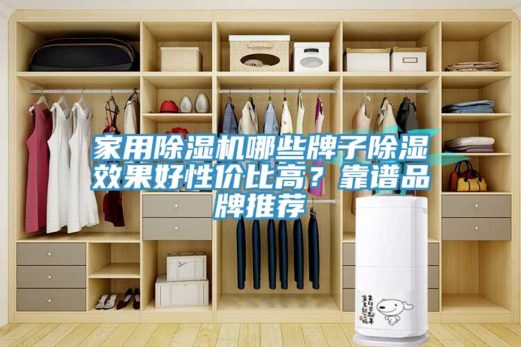 家用除濕機哪些牌子除濕效果好性價比高？靠譜品牌推薦