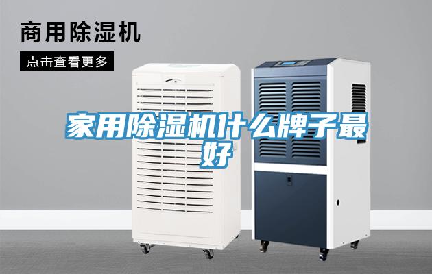 家用除濕機什么牌子最好