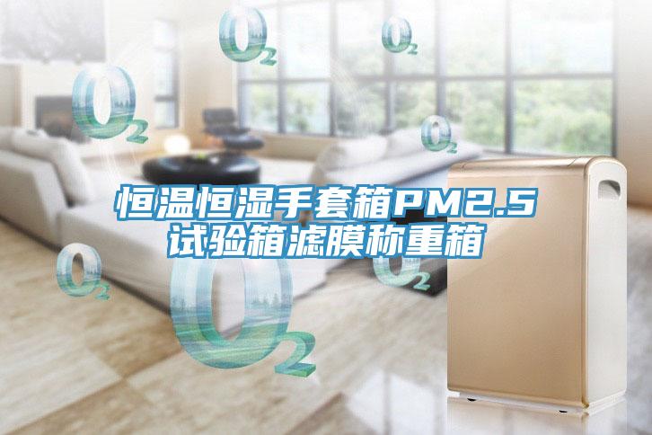 恒溫恒濕手套箱PM2.5試驗(yàn)箱濾膜稱重箱