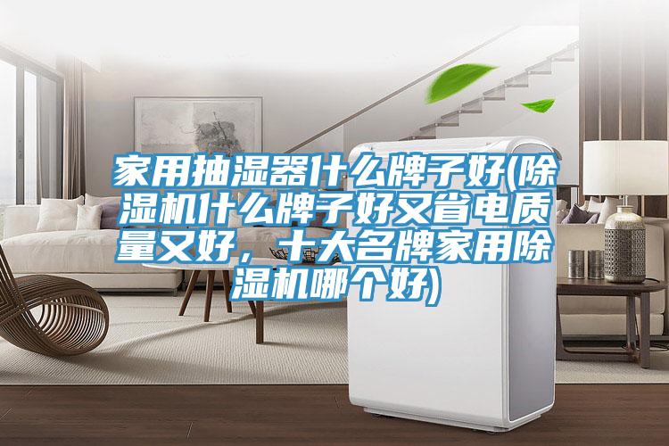 家用抽濕器什么牌子好(除濕機(jī)什么牌子好又省電質(zhì)量又好，十大名牌家用除濕機(jī)哪個(gè)好)